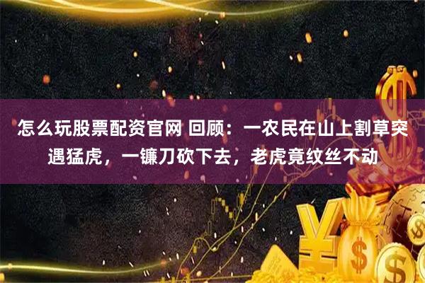 怎么玩股票配资官网 回顾：一农民在山上割草突遇猛虎，一镰刀砍下去，老虎竟纹丝不动