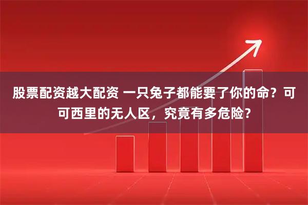 股票配资越大配资 一只兔子都能要了你的命？可可西里的无人区，究竟有多危险？