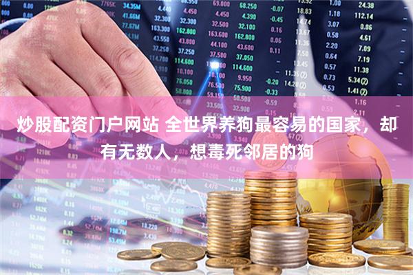 炒股配资门户网站 全世界养狗最容易的国家，却有无数人，想毒死邻居的狗