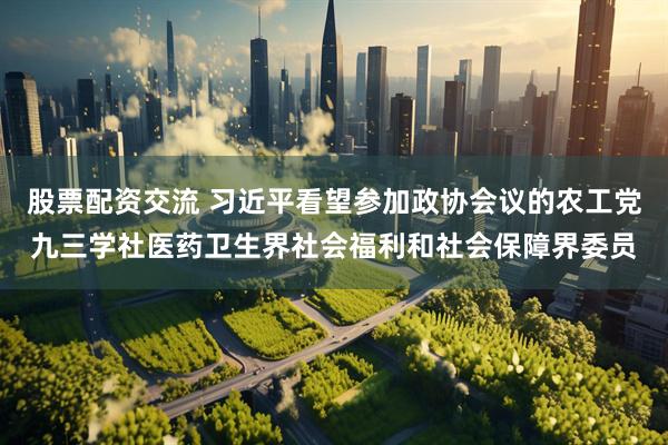 股票配资交流 习近平看望参加政协会议的农工党九三学社医药卫生界社会福利和社会保障界委员
