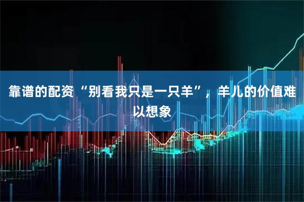 靠谱的配资 “别看我只是一只羊”，羊儿的价值难以想象