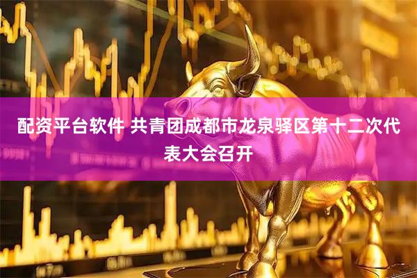 配资平台软件 共青团成都市龙泉驿区第十二次代表大会召开
