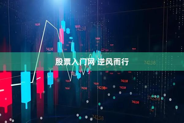 股票入门网 逆风而行