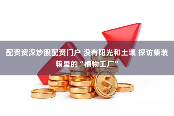 配资资深炒股配资门户 没有阳光和土壤 探访集装箱里的“植物工厂”